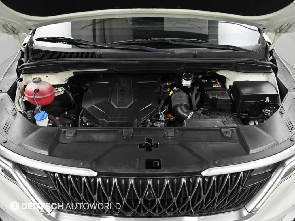 KIA Carnival - Vista 6