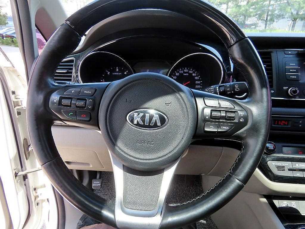 KIA Carnival - Vista 8
