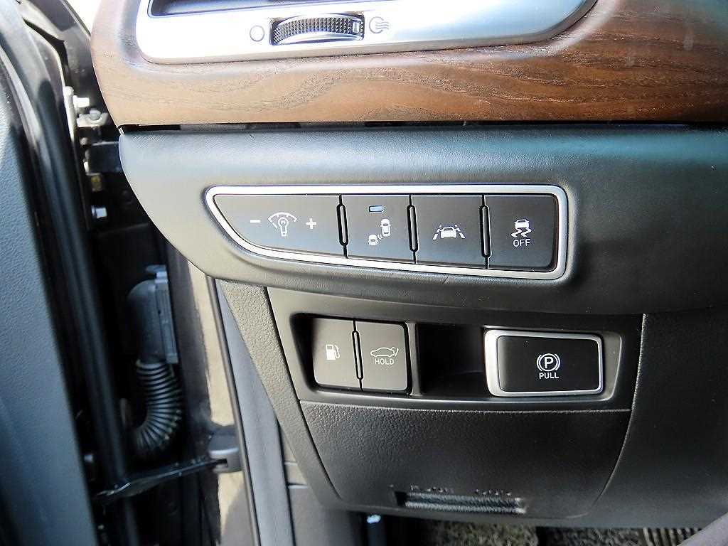 Genesis G90 - Vista 12