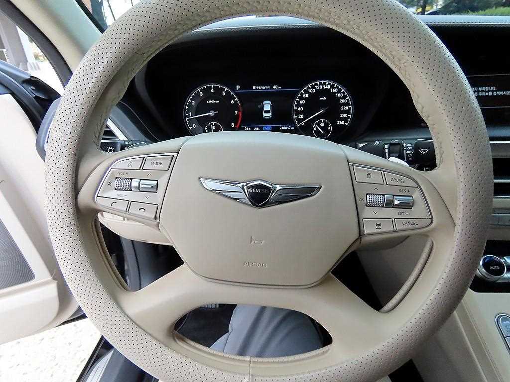 Genesis G90 - Vista 8