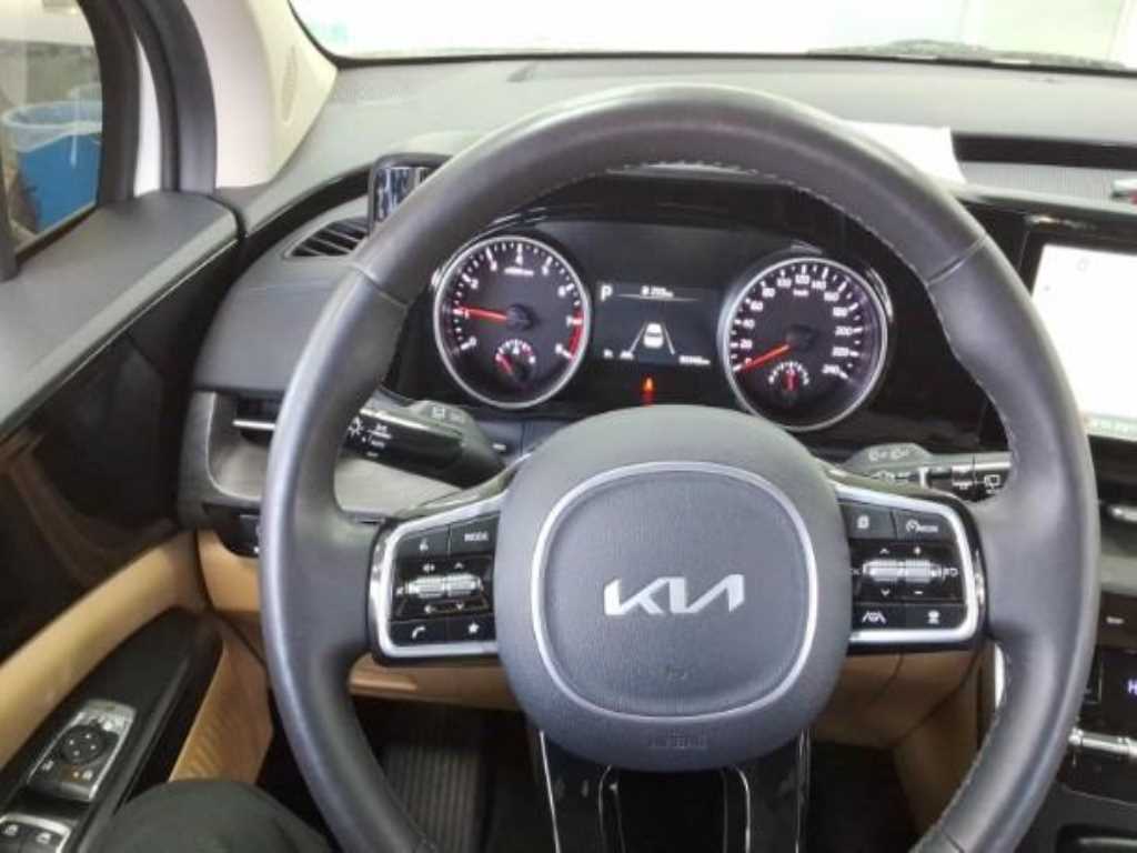 KIA Carnival - Vista 4
