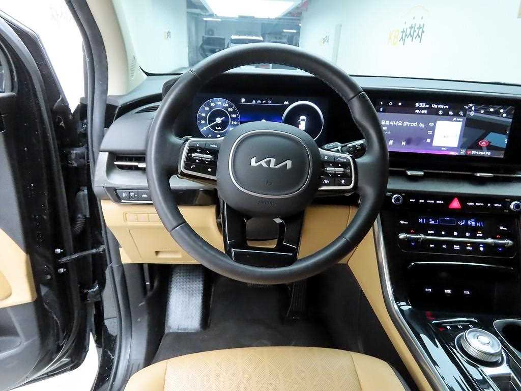 KIA Carnival - Vista 7