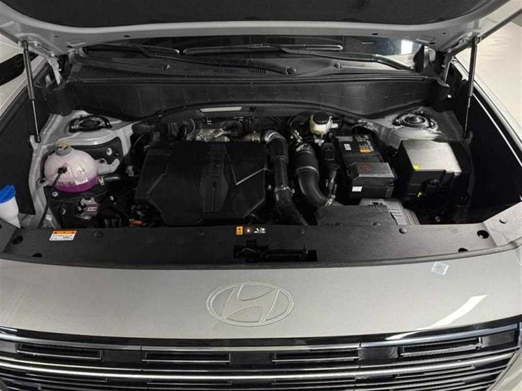 HYUNDAI Palisade - Vista 5