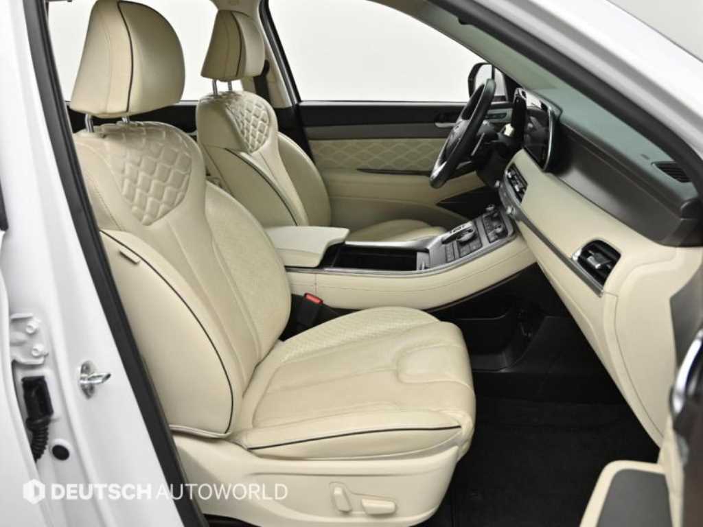 HYUNDAI Palisade - Vista 10