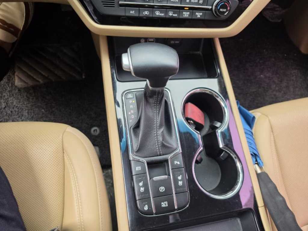 KIA Carnival - Vista 8