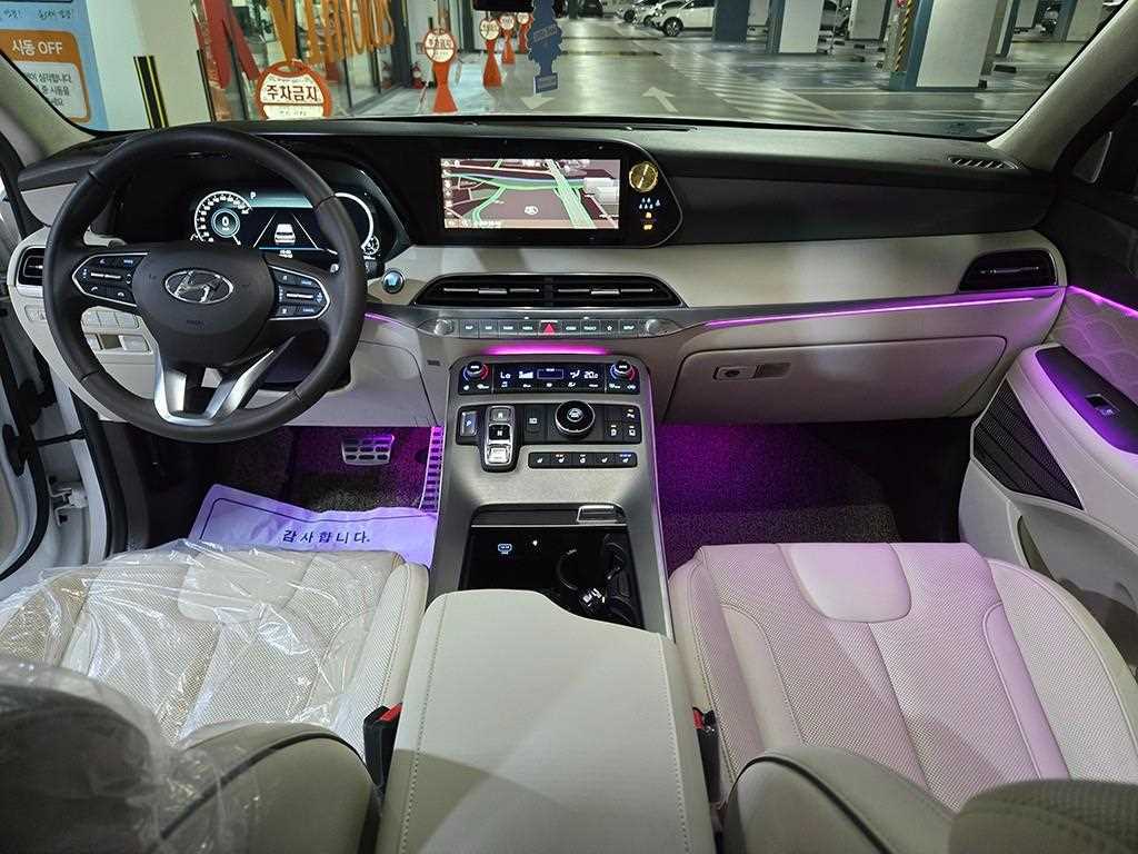 HYUNDAI Palisade - Vista 10