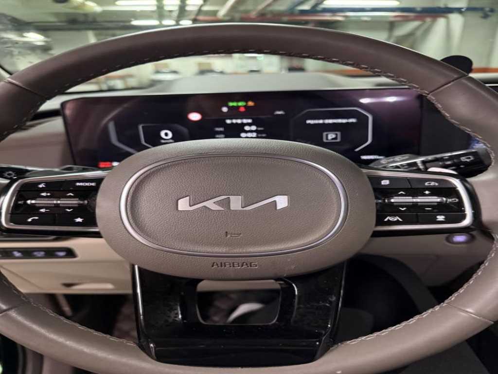 KIA Carnival - Vista 11
