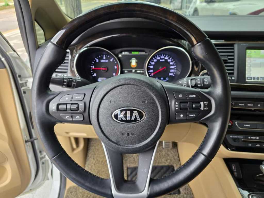 KIA Carnival - Vista 11