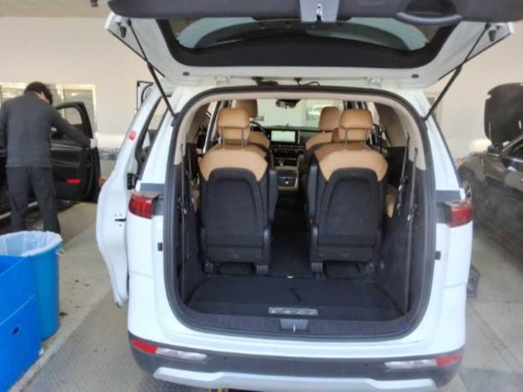 KIA Carnival - Vista 12
