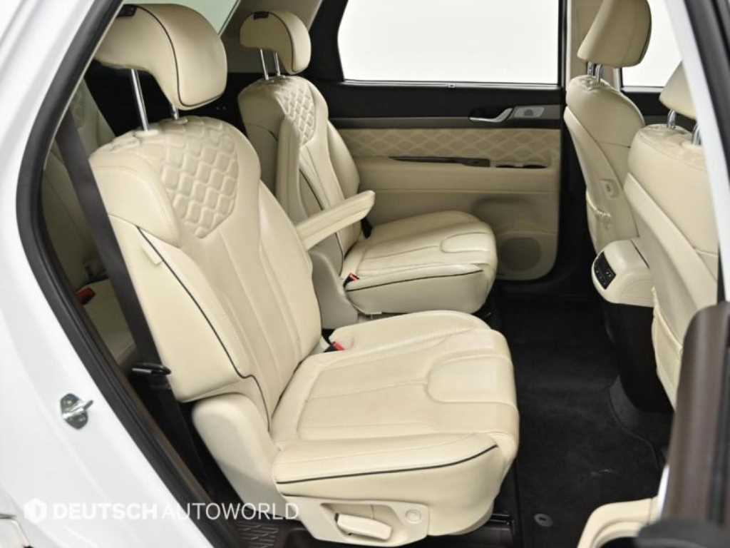 HYUNDAI Palisade - Vista 12