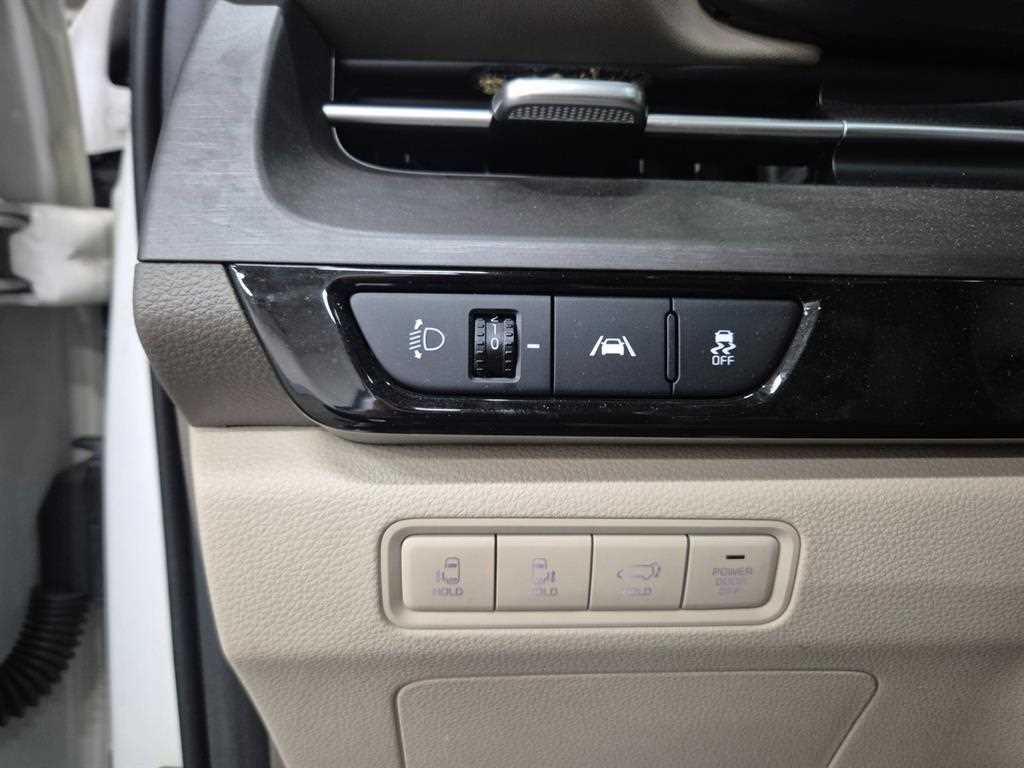 KIA Carnival - Vista 12