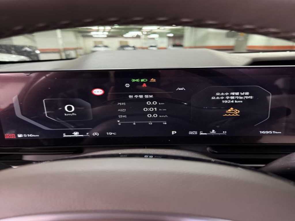 KIA Carnival - Vista 5