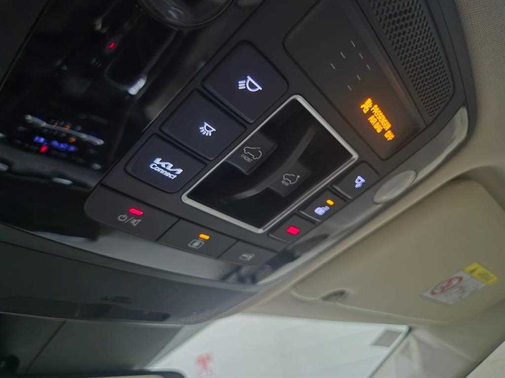 KIA Carnival - Vista 10