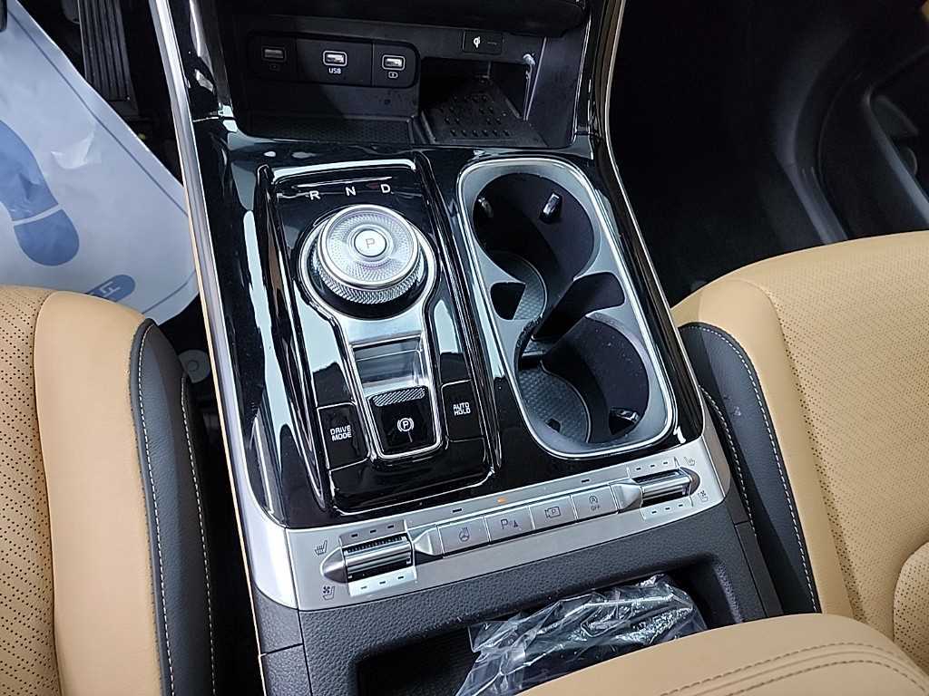 KIA Carnival - Vista 8