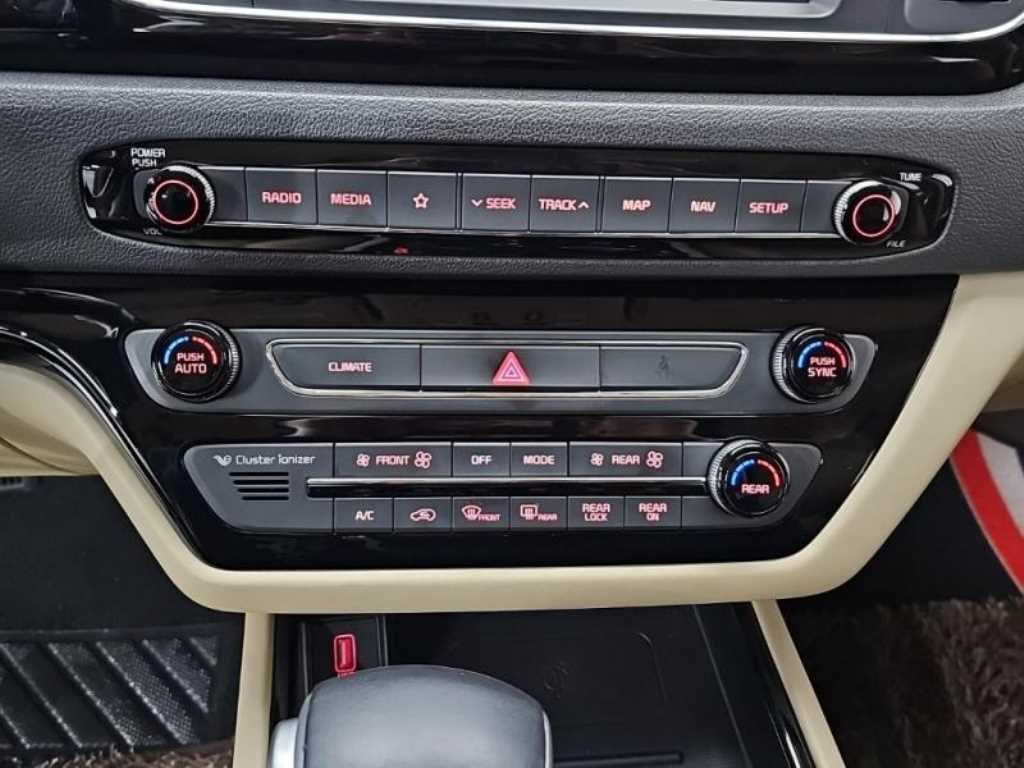 KIA Carnival - Vista 12