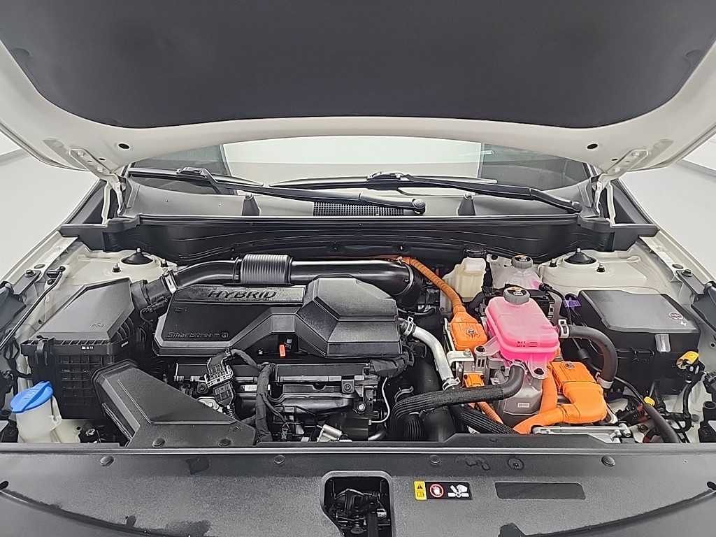 KIA Sportage - Vista 5