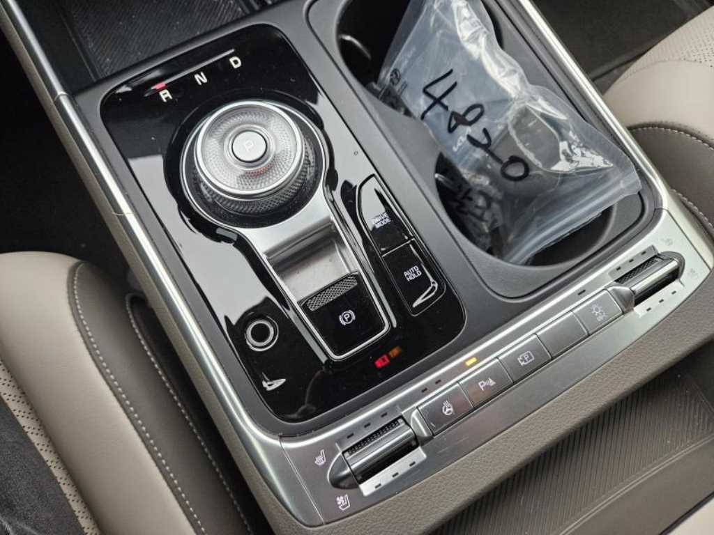 KIA Carnival - Vista 9