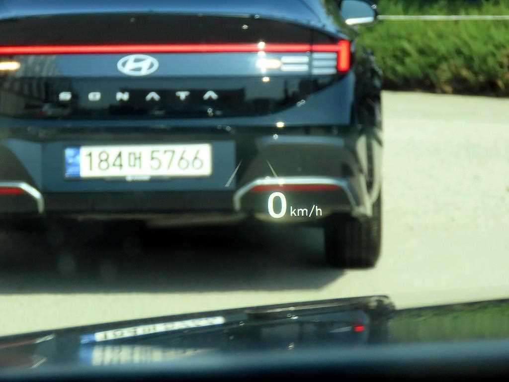 Genesis G90 - Vista 10