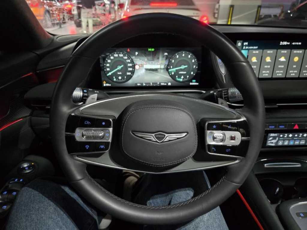 Genesis G90 - Vista 11