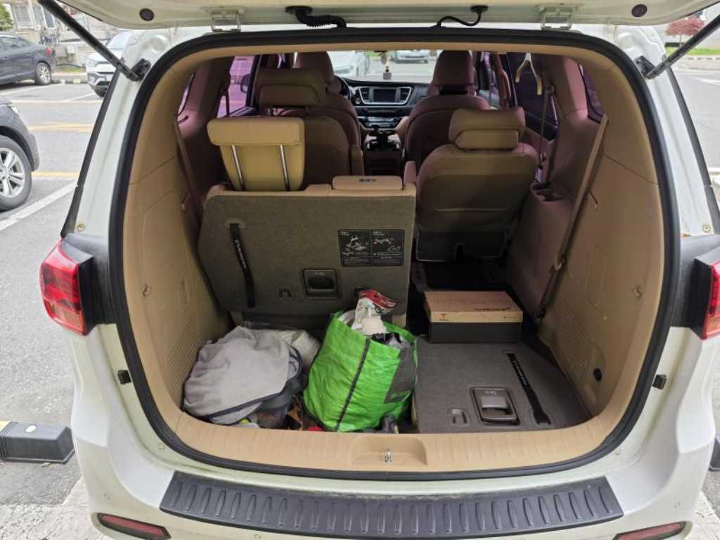 KIA Carnival - Vista 3