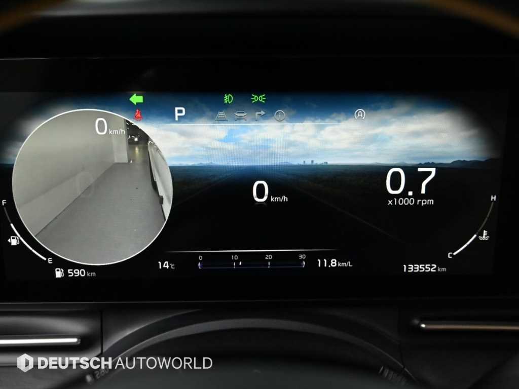 KIA Carnival - Vista 8