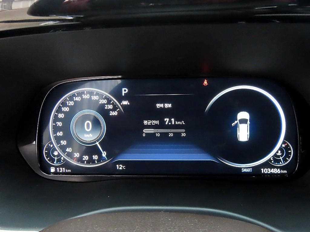 HYUNDAI Palisade - Vista 9