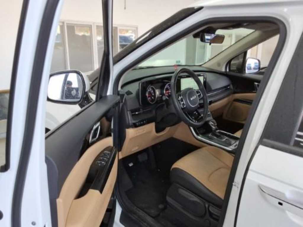 KIA Carnival - Vista 9