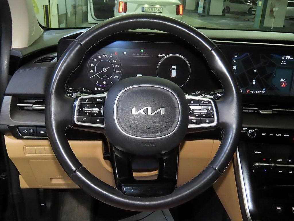 KIA Carnival - Vista 8