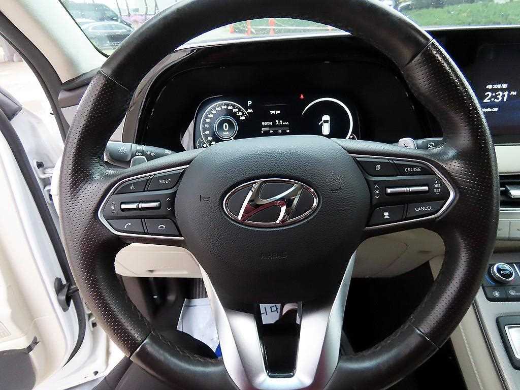 HYUNDAI Palisade - Vista 8