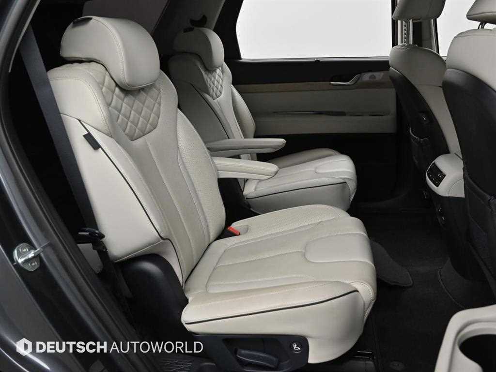 HYUNDAI Palisade - Vista 12
