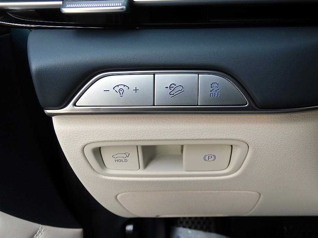 Genesis GV80 - Vista 12