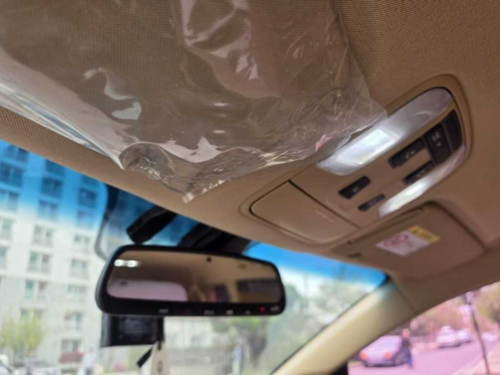 KIA Carnival - Vista 11