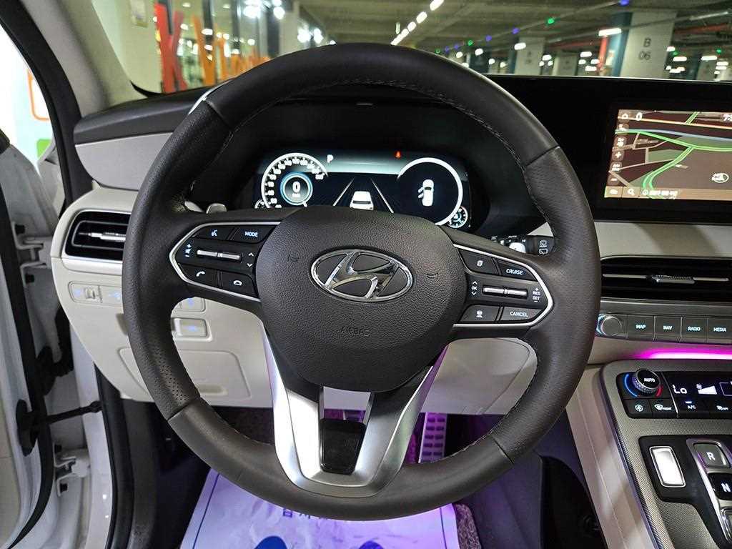HYUNDAI Palisade - Vista 8