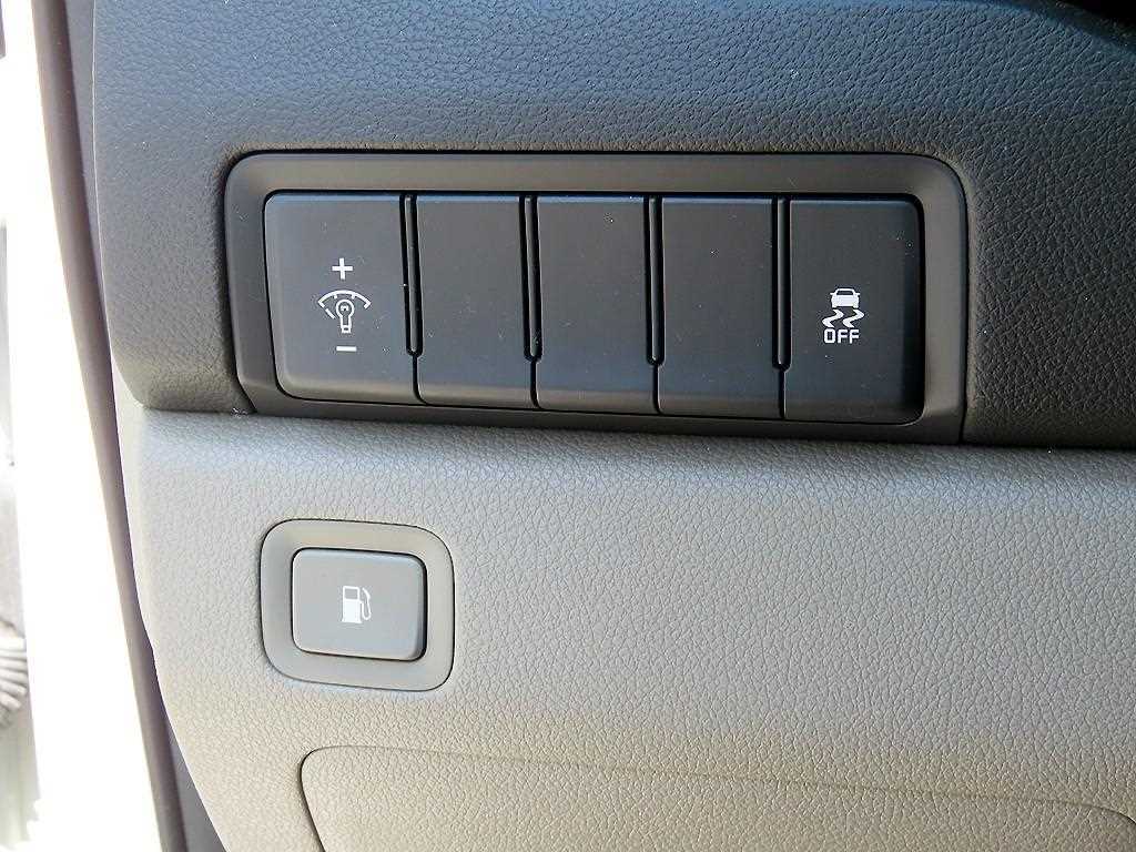 KIA Carnival - Vista 12