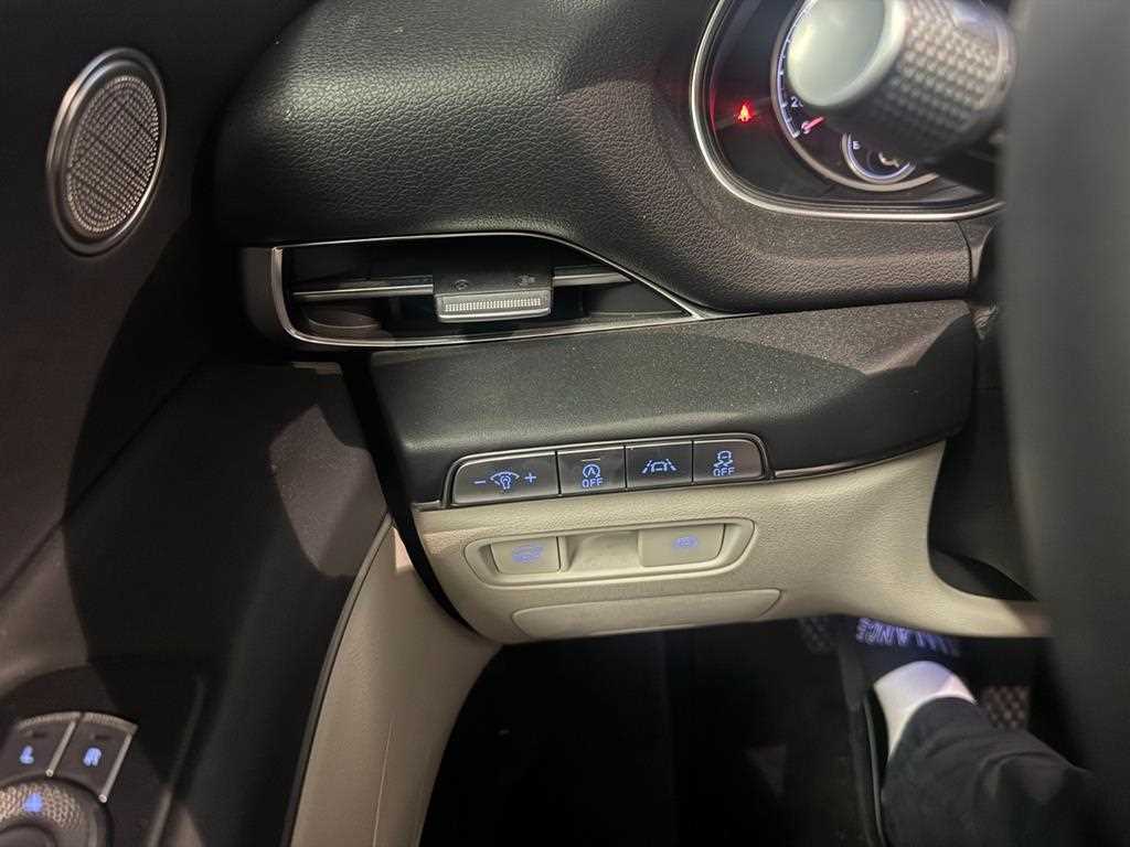 Genesis GV80 - Vista 10