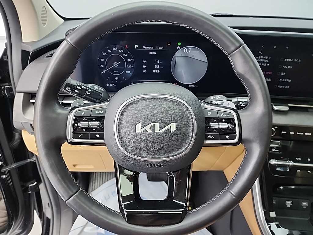 KIA Carnival - Vista 9