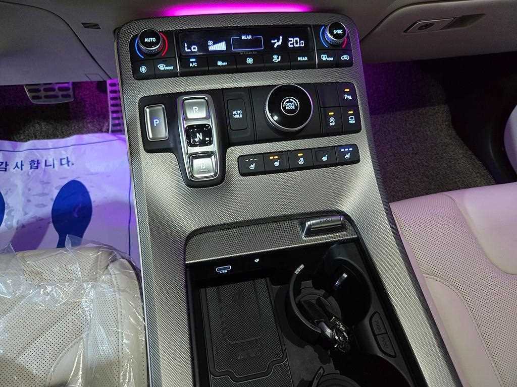 HYUNDAI Palisade - Vista 12