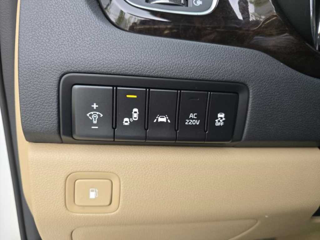 KIA Carnival - Vista 10