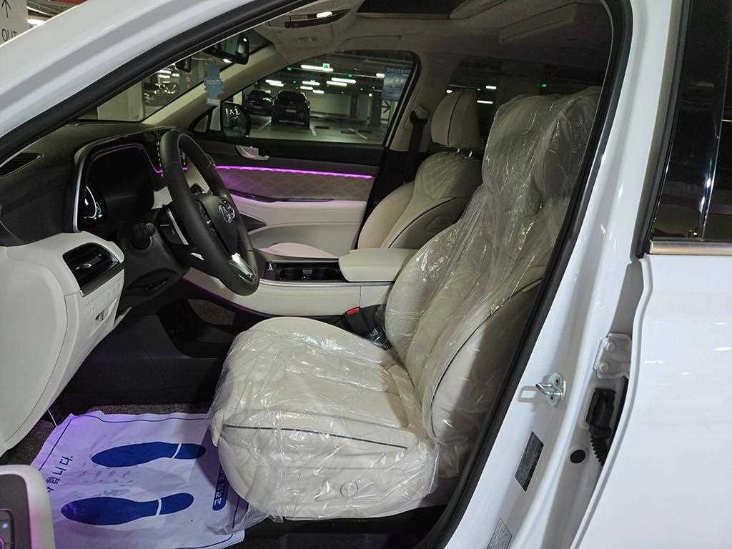 HYUNDAI Palisade - Vista 6