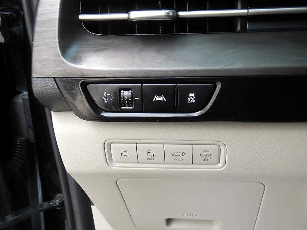 KIA Carnival - Vista 12