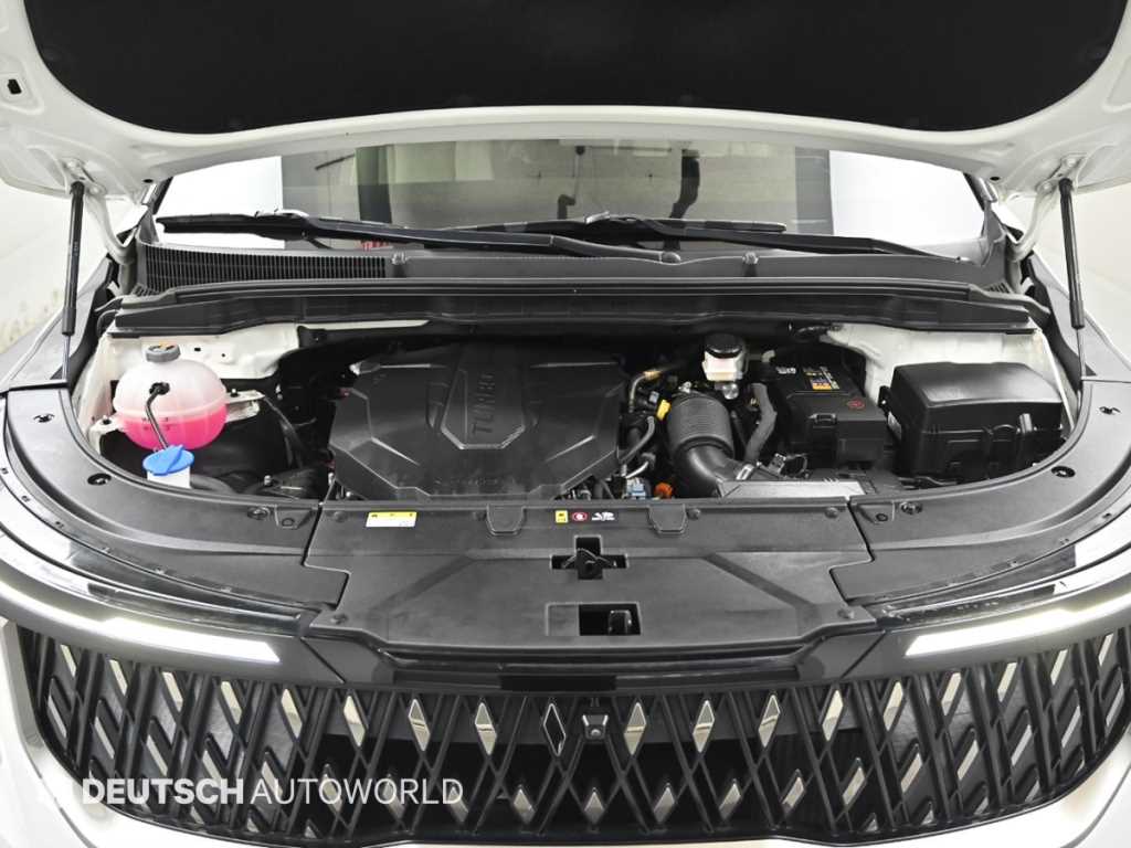 KIA Carnival - Vista 6