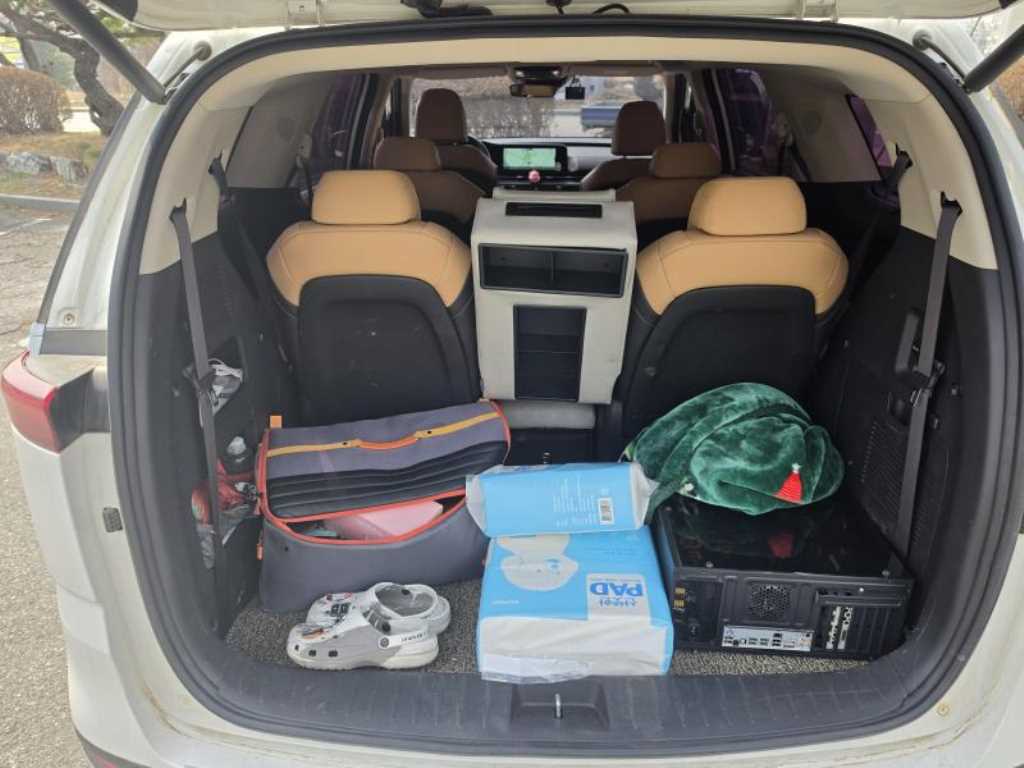 KIA Carnival - Vista 3