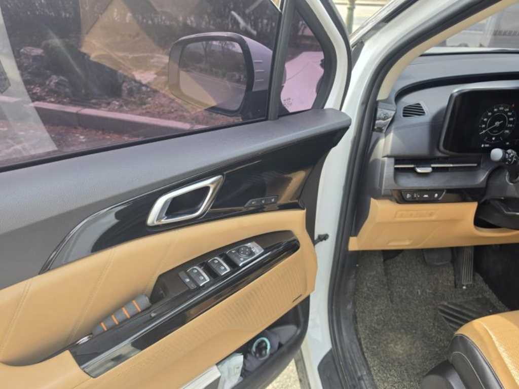KIA Carnival - Vista 6