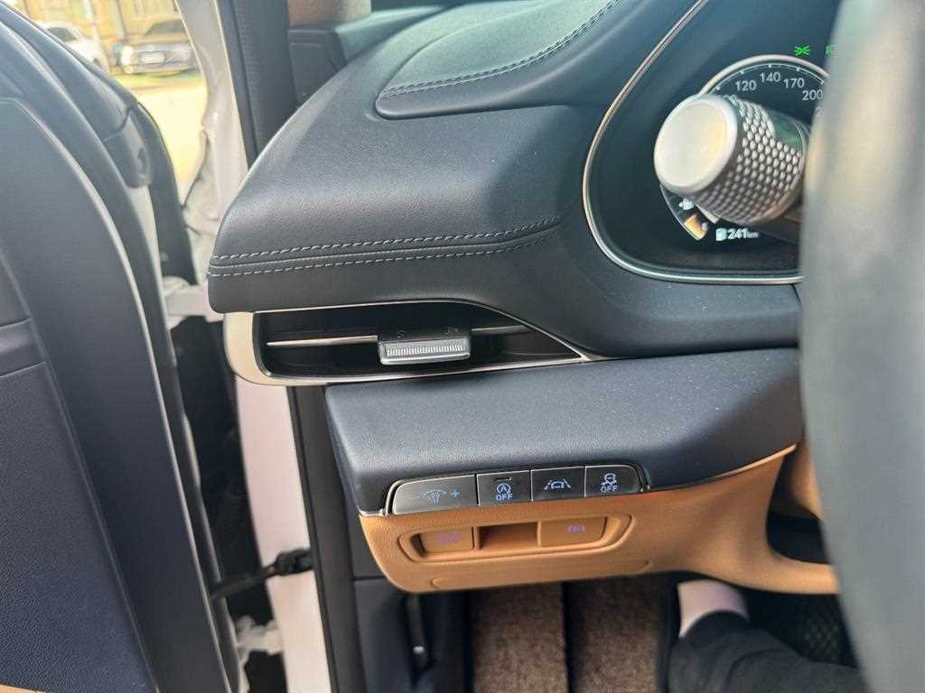 Genesis GV80 - Vista 10