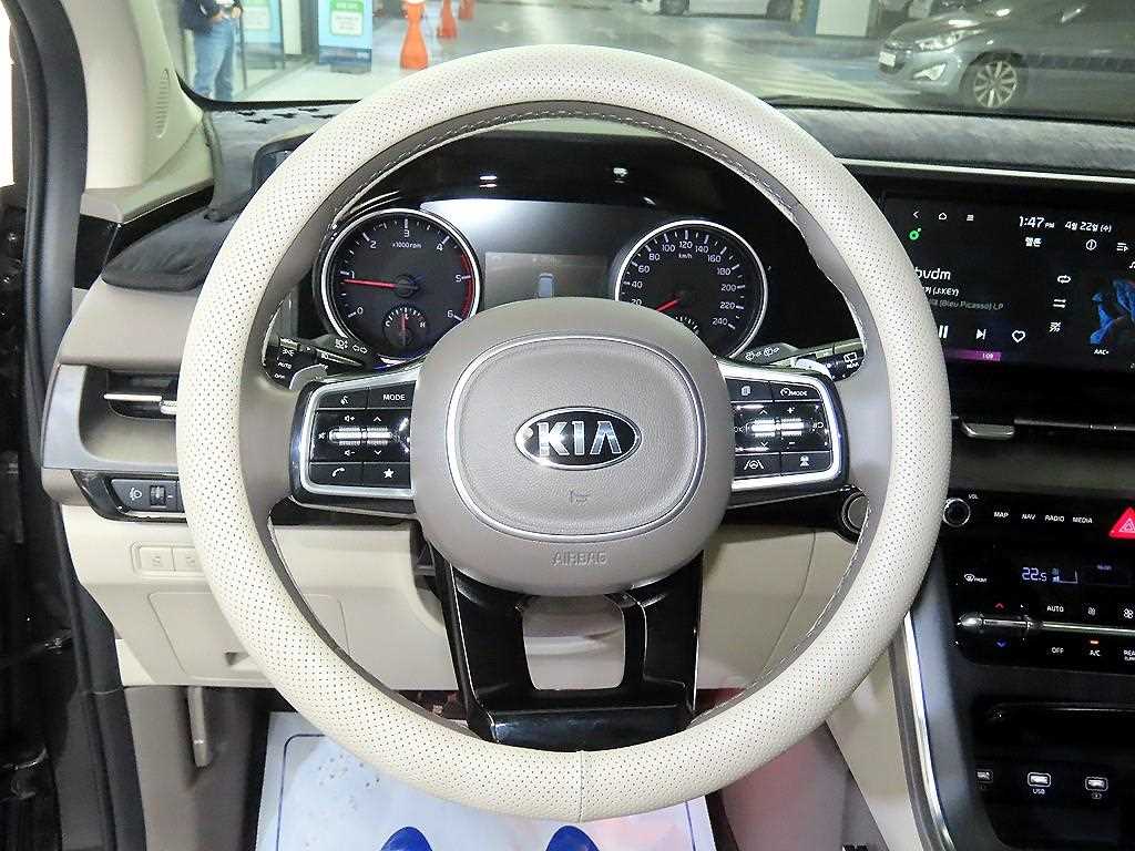 KIA Carnival - Vista 9