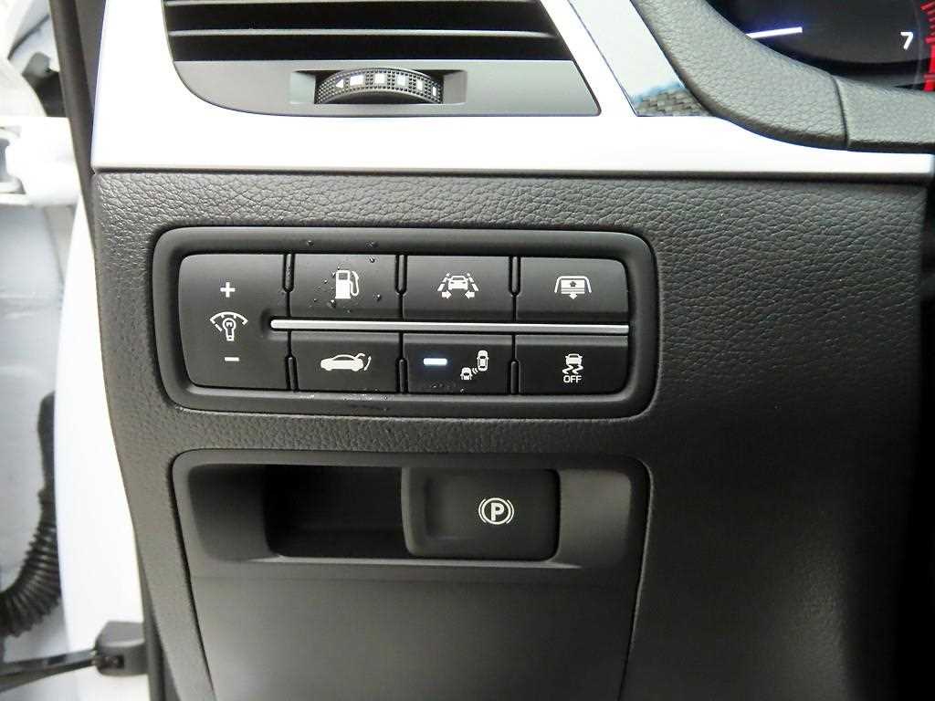 Genesis G80 - Vista 11