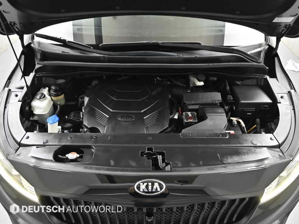 KIA Carnival - Vista 6