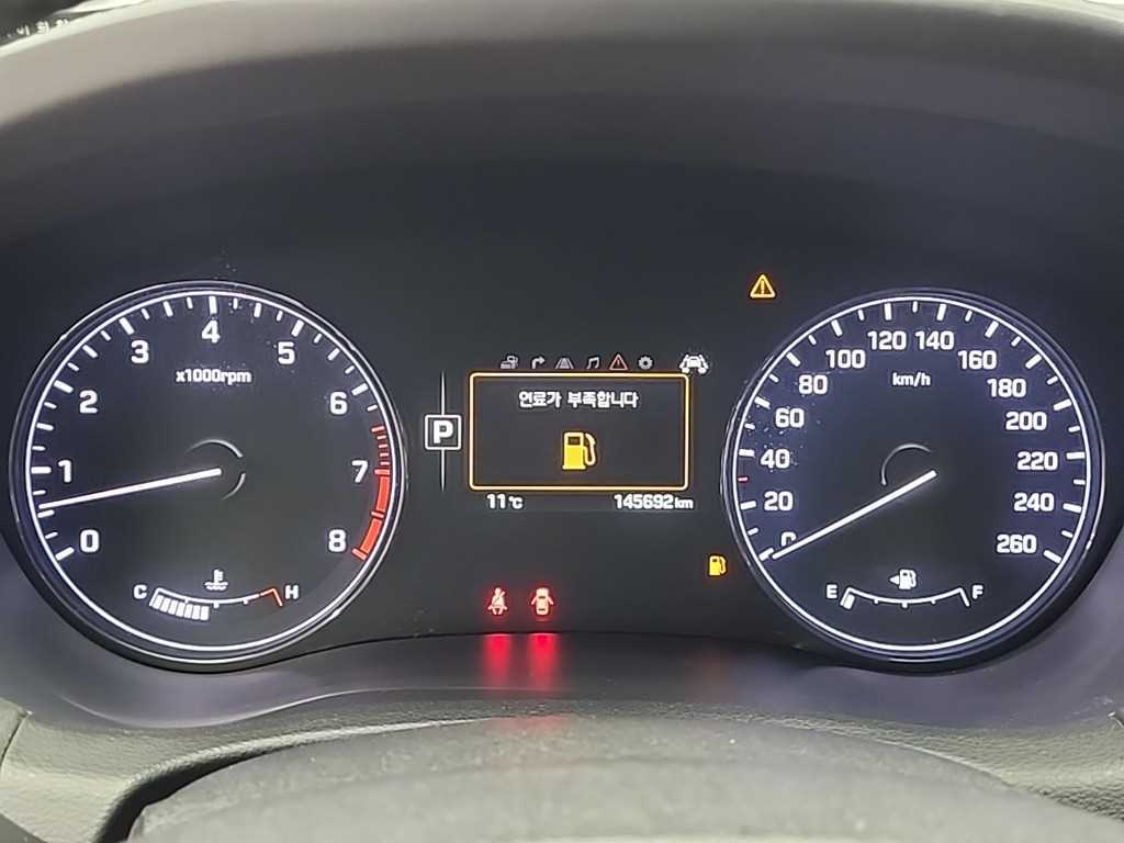 HYUNDAI Genesis - Vista 6