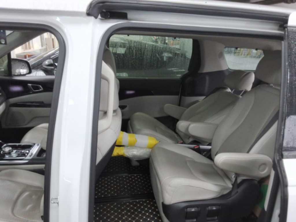 KIA Carnival - Vista 12