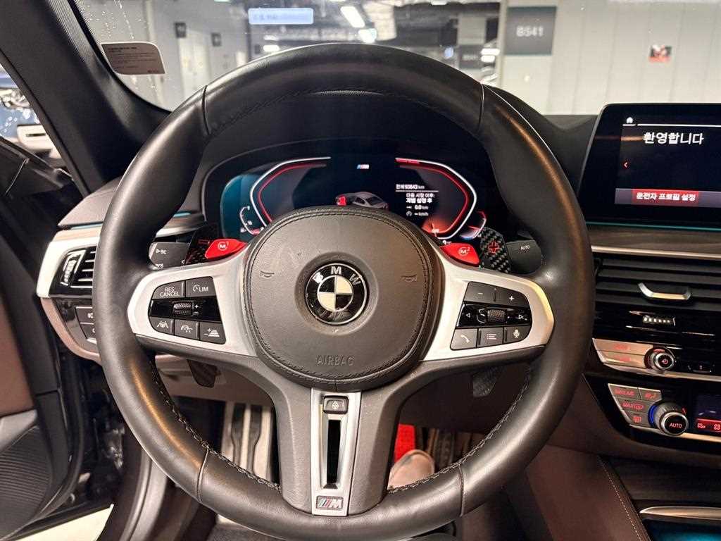 BMW 5 Series - Vista 6